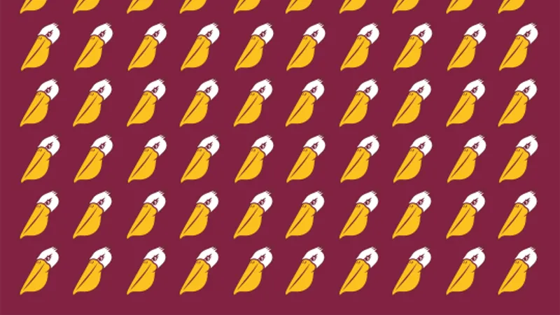 Les Pelicans de Rosemont in Montreal