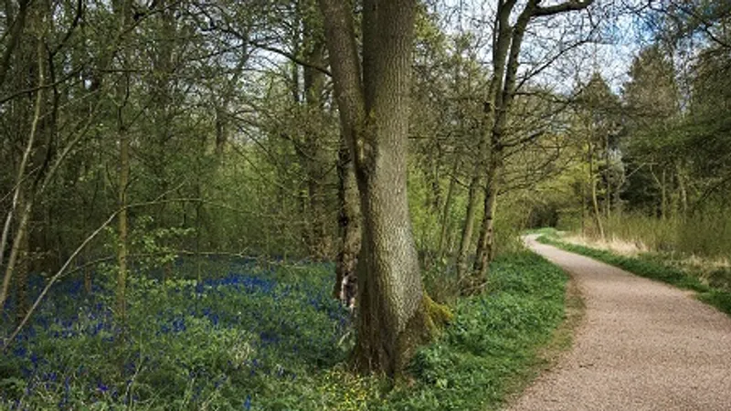 Linford Wood parkrun in Milton Keynes