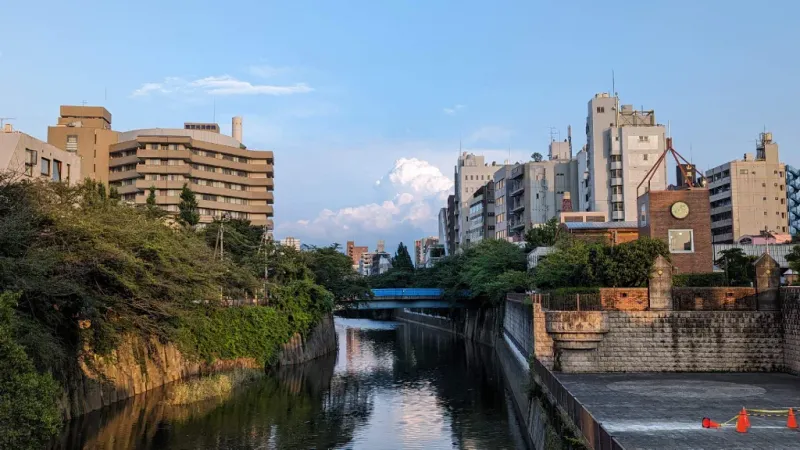 Meguro River Lazy Runners