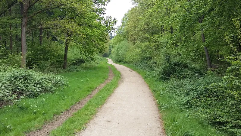 Welwyn Trail Running in Welwyn Garden City