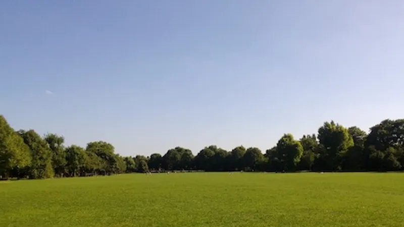 Wandle Runners