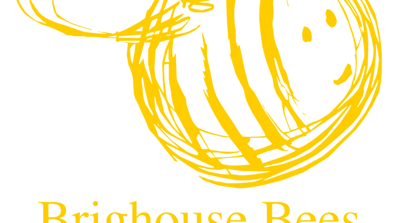 Brighouse Bees Running Club in Brighouse