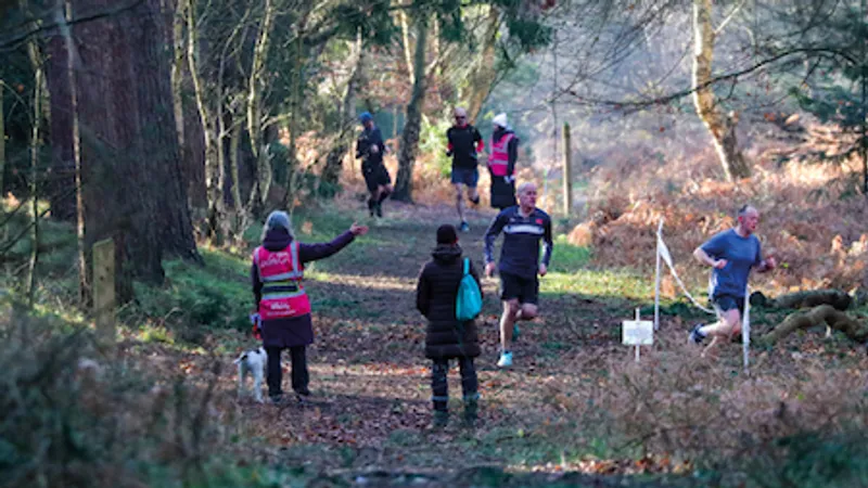 Rendlesham Forest parkrun in Woodbridge