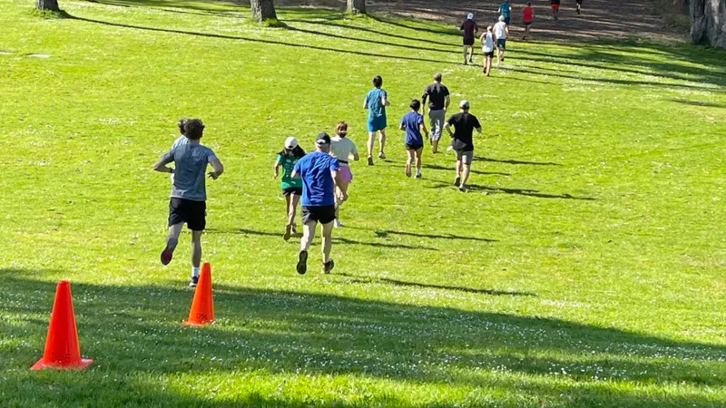 Dolphin South End Runners (DSE)