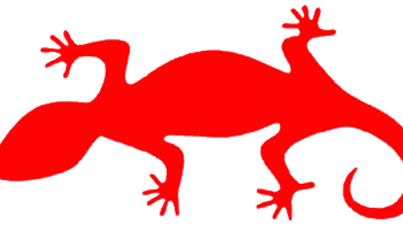 Team Red Lizard in Portland