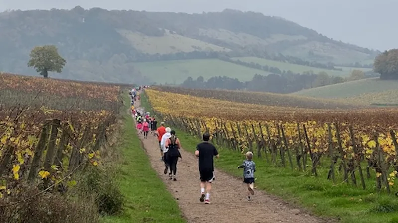 Mole Valley parkrun in Dorking