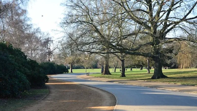 Dulwich parkrun in Dulwich