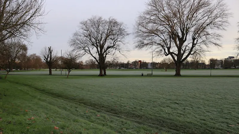 Peckham Rye parkrun in Peckham