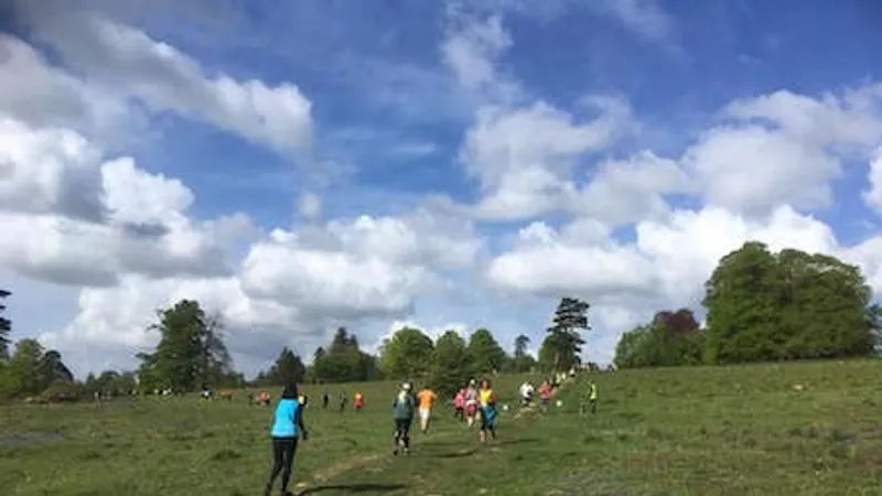 Uckfield parkrun in Uckfield