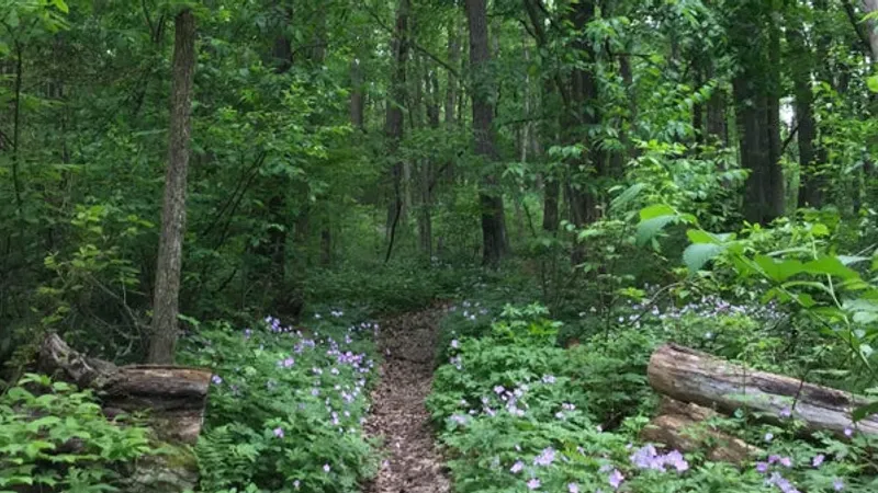 Glacial Trail Runners of Greater Milwaukee in Milwaukee