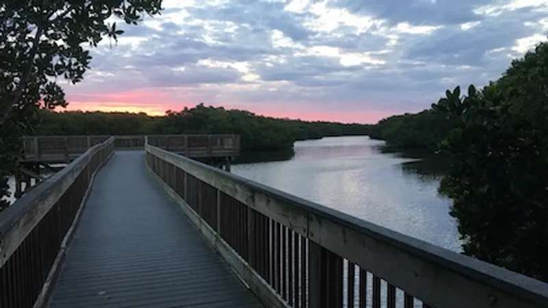 Weedon Island Preserve parkrun in St. Petersburg