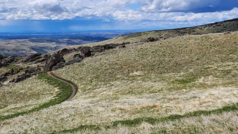 Trail Fridays in Boise