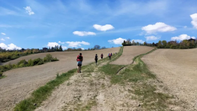 Bologna Trail Team ASD in Bologna