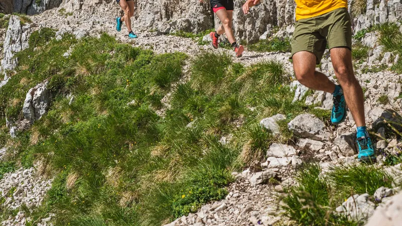 ASD Verona Trail Runners