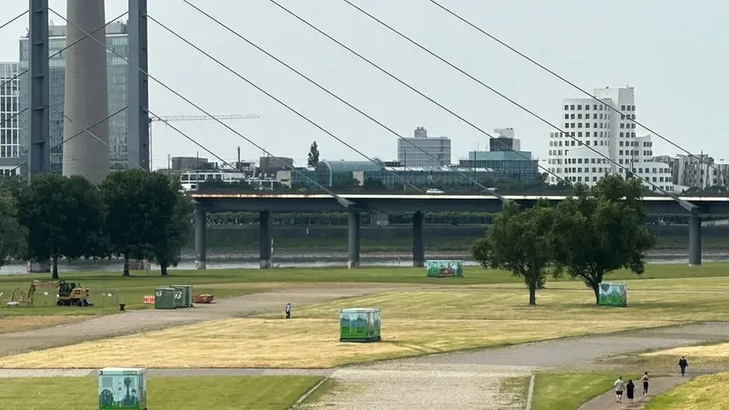 Rhein Runners
