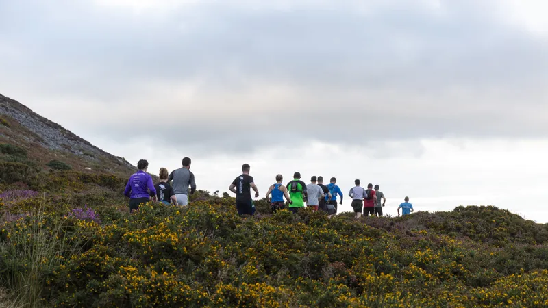 Wicklow Wolf Running Club