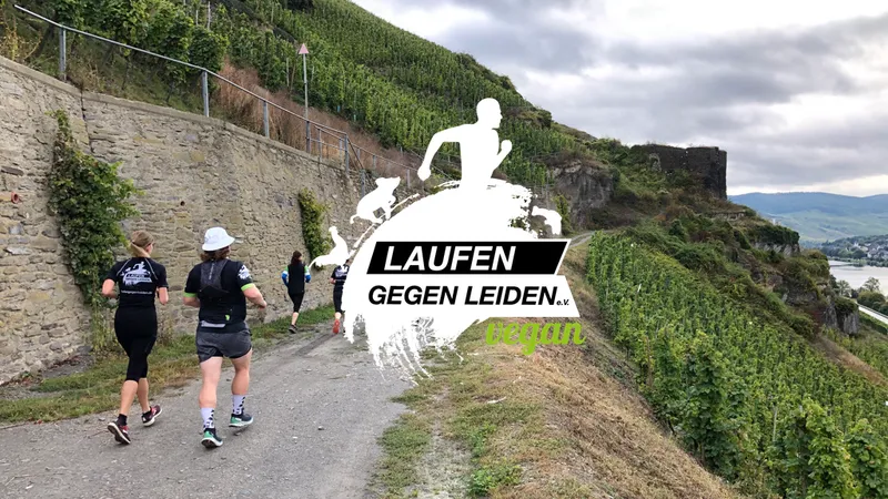 Gutenachtlauf Nürnberg