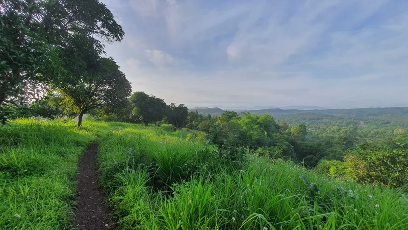 Chiang Mai Trail Running in Chiang Mai