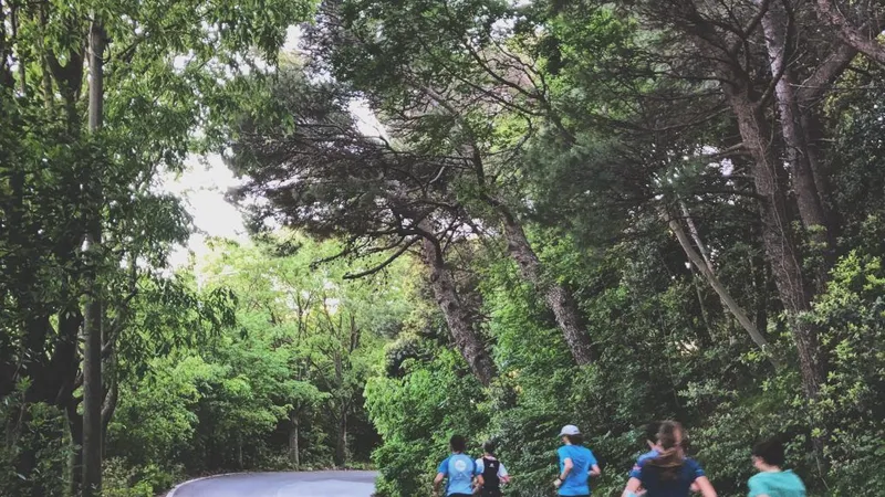City Trails - Sisport Genova