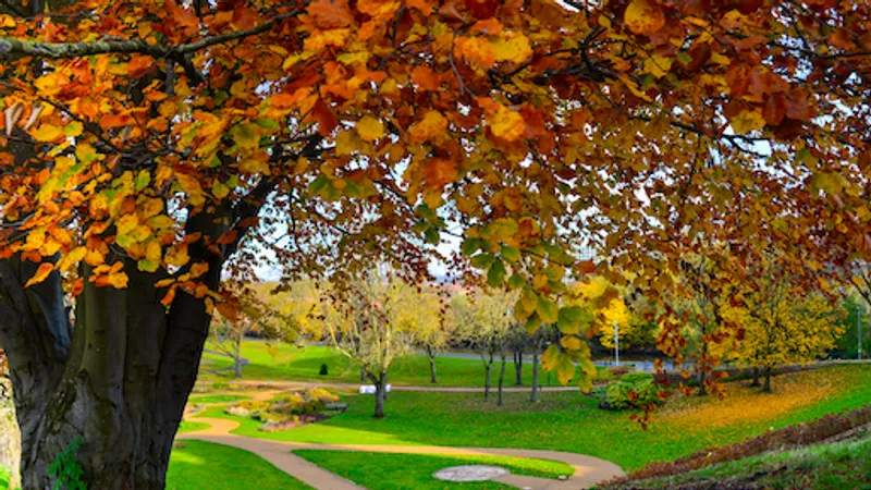 Peel parkrun in Salford