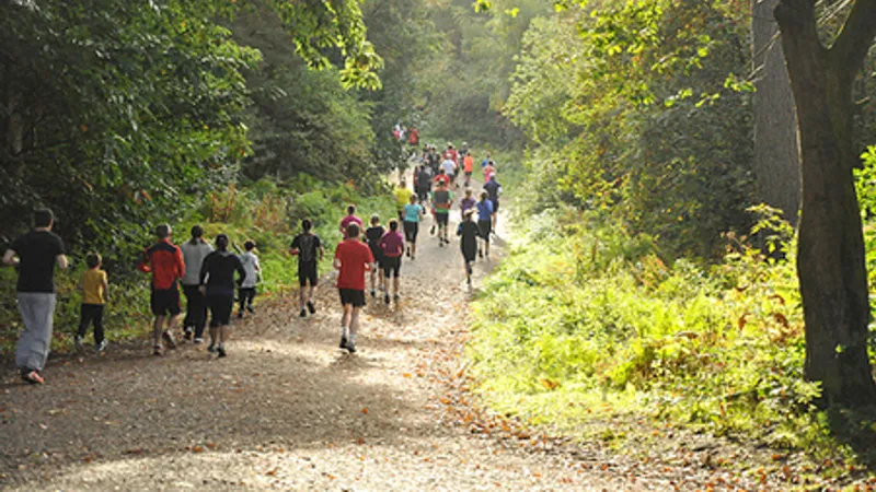 Delamere parkrun in Delamere
