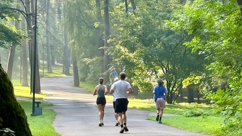 parkrun Vingis