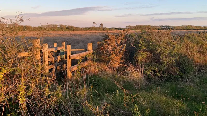 Cornwall Trail Runners