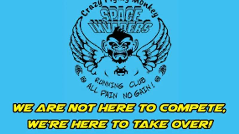 Crazy Flying Monkey Space Invaders in Brierley Hill