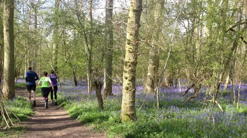 Papworth Runners in Papworth Everard