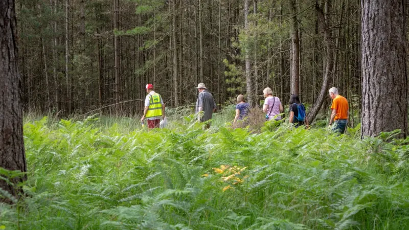 Moors Valley Couch to 5K in Ashley Heath