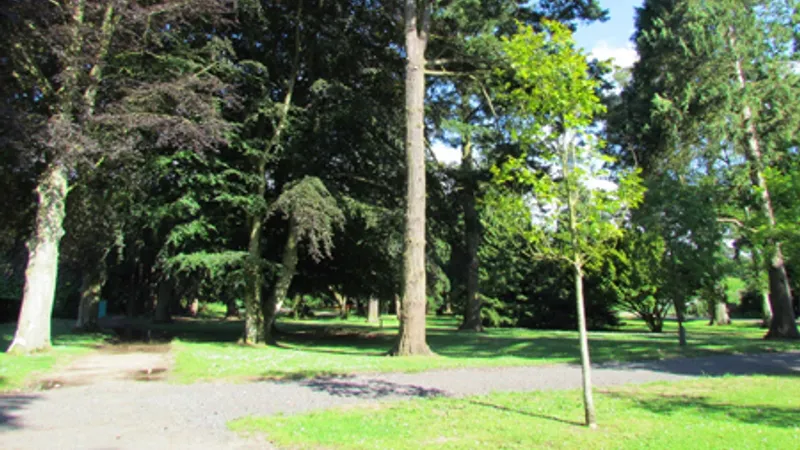 Antrim parkrun in Antrim