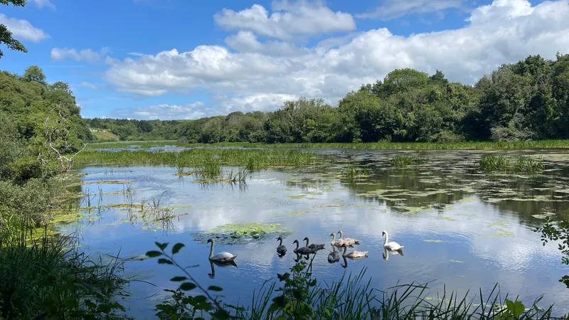 Stackpole Striders in Stackpole