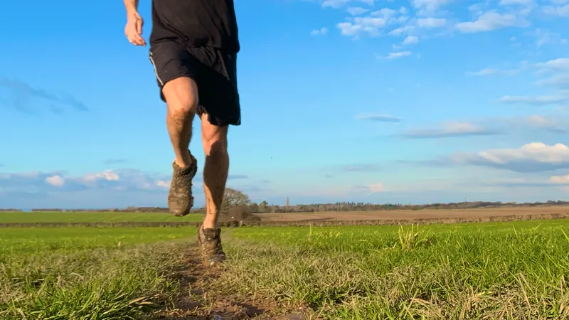 Blended Trails in Medstead