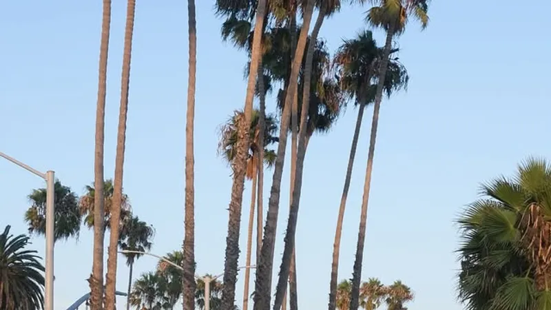 Long Beach Run Club
